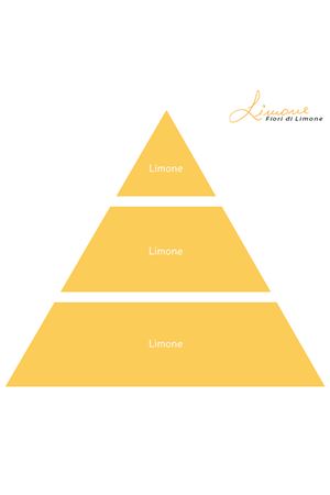 Limone deo ambiente 250 ml Profumi di Procida | DEO LIMONE250ML